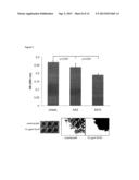 NOVEL ANTIBODY TO A CARBONIC ANHYDRASE diagram and image