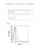 NOVEL ANTIBODY TO A CARBONIC ANHYDRASE diagram and image