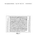 METHODS FOR DETECTING TH1 CELLS diagram and image