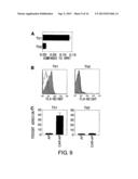 METHODS FOR DETECTING TH1 CELLS diagram and image