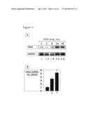 USE OF MOLECULAR MARKERS FOR THE PRECLINICAL PROFILING OF INHIBITORS OF     ENZYMES HAVING HISTONE DEACETYLASE ACTIVITY diagram and image