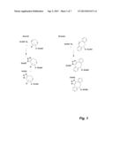 OLIGONUCLEOTIDE LIGATION diagram and image