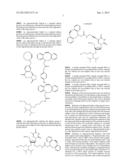 OLIGONUCLEOTIDE LIGATION diagram and image