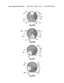 BIOLOGICAL TISSUE COLLECTING TOOL AND BIOLOGICAL TISSUE COLLECTION METHOD     USING THE SAME diagram and image