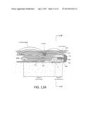 TISSUE EXTRACTION DEVICES AND METHODS diagram and image