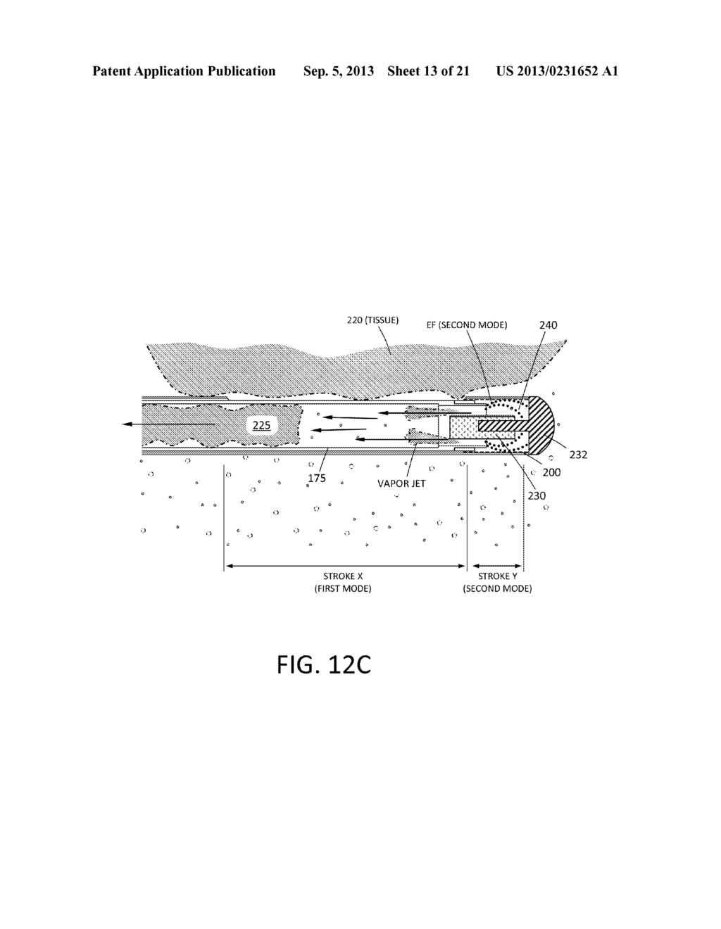 TISSUE EXTRACTION DEVICES AND METHODS - diagram, schematic, and image 14