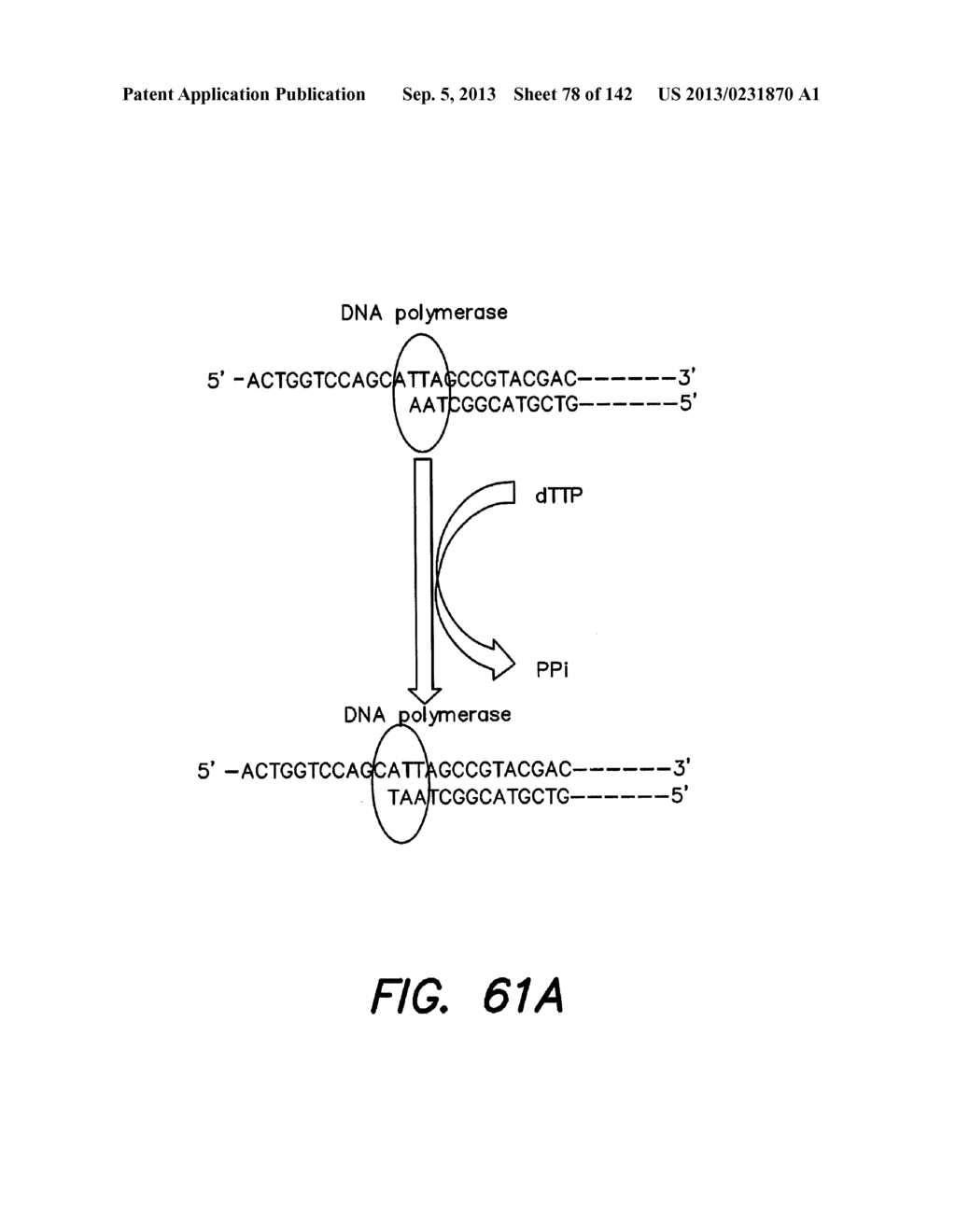 METHODS AND COMPUTER PROGRAM PRODUCTS FOR COMPRESSION OF SEQUENCING DATA - diagram, schematic, and image 79