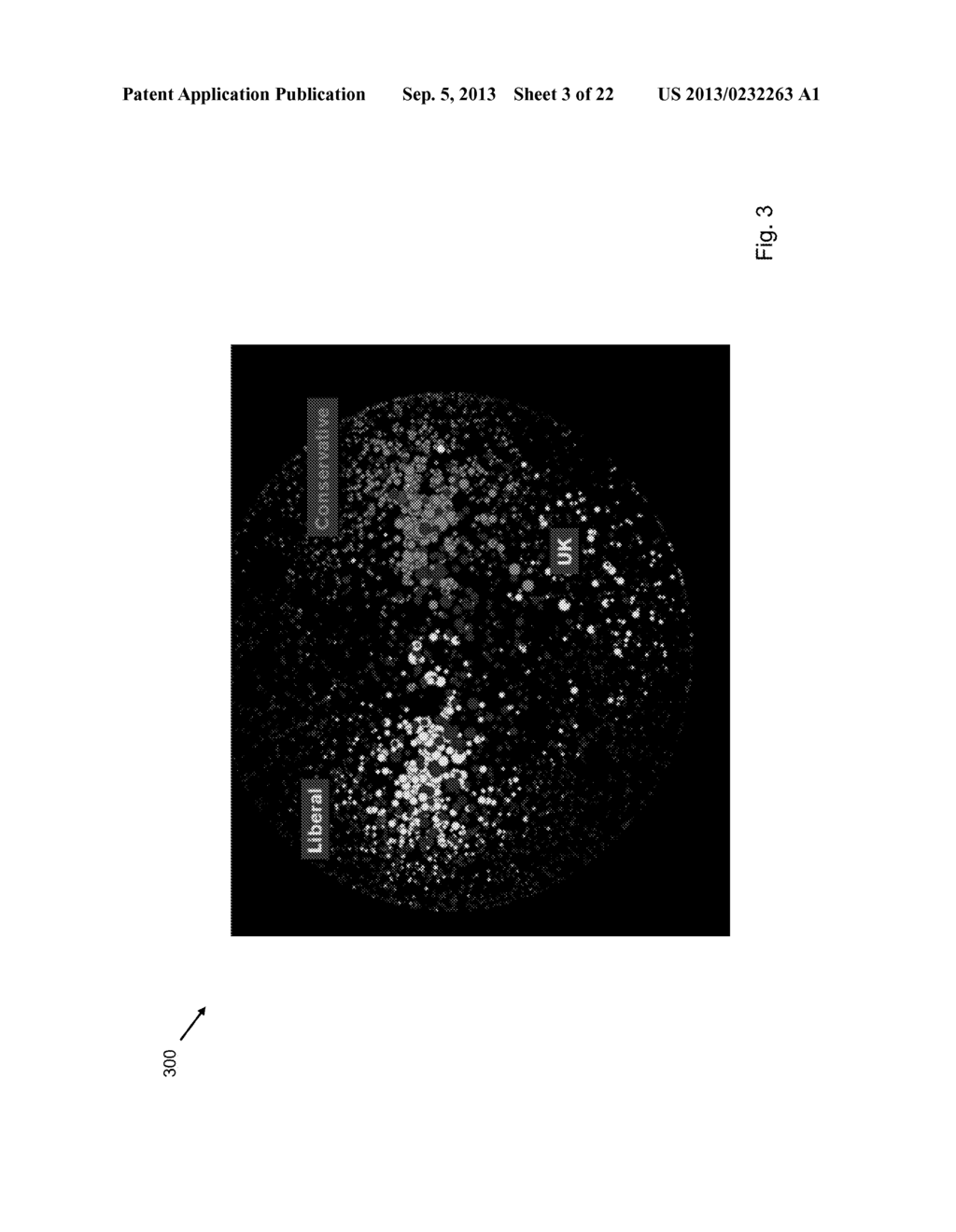 SYSTEM AND METHOD FOR CLASSIFYING A CONTAGIOUS PHENOMENON PROPAGATING ON A     NETWORK - diagram, schematic, and image 04