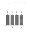 INDEPENDENT MATTRESS UNITS WITH TRANSITION ZONE diagram and image