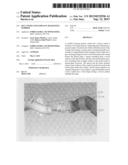 DUCT WITH CONTAMINANT SEPARATING BARRIER diagram and image