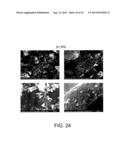 BIOCHAR PRODUCTION METHOD AND COMPOSITION THEREFROM diagram and image