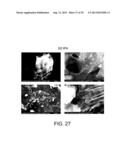 BIOCHAR PRODUCTION METHOD AND COMPOSITION THEREFROM diagram and image