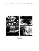 BIOCHAR PRODUCTION METHOD AND COMPOSITION THEREFROM diagram and image