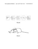 ANIMAL MEMORY TRAINING SYSTEM WITH CLOSED ROTARY MAZE diagram and image