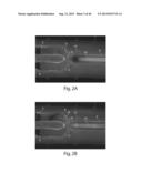 Multichannel Preparative Electrophoresis System diagram and image