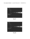 Multichannel Preparative Electrophoresis System diagram and image