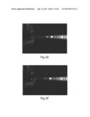 Multichannel Preparative Electrophoresis System diagram and image