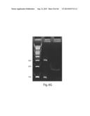 Multichannel Preparative Electrophoresis System diagram and image