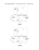 Multichannel Preparative Electrophoresis System diagram and image