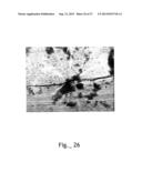 MATERIAL SURFACE TREATMENT METHOD USING CONCURRENT ELECTRICAL AND PHOTONIC     STIMULATION diagram and image