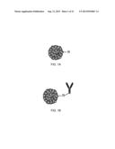 CHROMOPHORIC POLYMER DOTS diagram and image