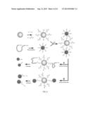 CHROMOPHORIC POLYMER DOTS diagram and image