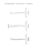 ZOOM LENS AND IMAGING APPARATUS diagram and image