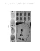 ELECTROCHROMIC DEVICES PREPARED FROM THE IN SITU FORMATION OF CONJUGATED     POLYMERS diagram and image