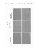 ELECTROSTATIC CHUCK diagram and image