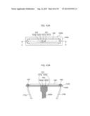 LIGHT BULB SHAPED LAMP AND LIGHTING APPARATUS diagram and image