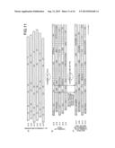 OPTICAL TRANSMISSION APPARATUS AND OPTICAL TRANSMISSION METHOD diagram and image