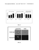 Immunomodulatory Methods and Systems for Treatment and/or Prevention of     Aneurysms diagram and image