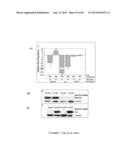 COMPOSITIONS AND METHODS FOR CXCR4 SIGNALING AND UMBILICAL CORD BLOOD STEM     CELL ENGRAFTMENT diagram and image