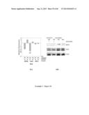 COMPOSITIONS AND METHODS FOR CXCR4 SIGNALING AND UMBILICAL CORD BLOOD STEM     CELL ENGRAFTMENT diagram and image