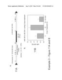 COMPOSITIONS AND METHODS FOR CXCR4 SIGNALING AND UMBILICAL CORD BLOOD STEM     CELL ENGRAFTMENT diagram and image