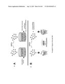 COMPOSITIONS AND METHODS FOR CXCR4 SIGNALING AND UMBILICAL CORD BLOOD STEM     CELL ENGRAFTMENT diagram and image