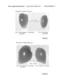 USE OF DECORIN FOR INCREASING MUSCLE MASS diagram and image