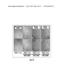 Compositions and Methods for Tissue Engineering, Tissue Regeneration and     Wound Healing diagram and image