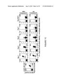 EXPANDABLE CELL SOURCE OF NEURONAL STEM CELL POPULATIONS AND METHODS FOR     OBTAINING AND USNIG THEM diagram and image