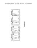 EXPANDABLE CELL SOURCE OF NEURONAL STEM CELL POPULATIONS AND METHODS FOR     OBTAINING AND USNIG THEM diagram and image