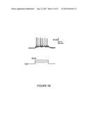 EXPANDABLE CELL SOURCE OF NEURONAL STEM CELL POPULATIONS AND METHODS FOR     OBTAINING AND USNIG THEM diagram and image