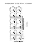 EXPANDABLE CELL SOURCE OF NEURONAL STEM CELL POPULATIONS AND METHODS FOR     OBTAINING AND USNIG THEM diagram and image