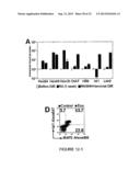 EXPANDABLE CELL SOURCE OF NEURONAL STEM CELL POPULATIONS AND METHODS FOR     OBTAINING AND USNIG THEM diagram and image