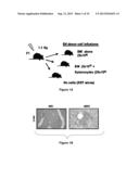 Methods and Compositions for Modulating Acute Graft-versus-Host Disease     using miR-155 Specific Inhibitors diagram and image