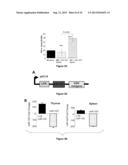 Methods and Compositions for Modulating Acute Graft-versus-Host Disease     using miR-155 Specific Inhibitors diagram and image