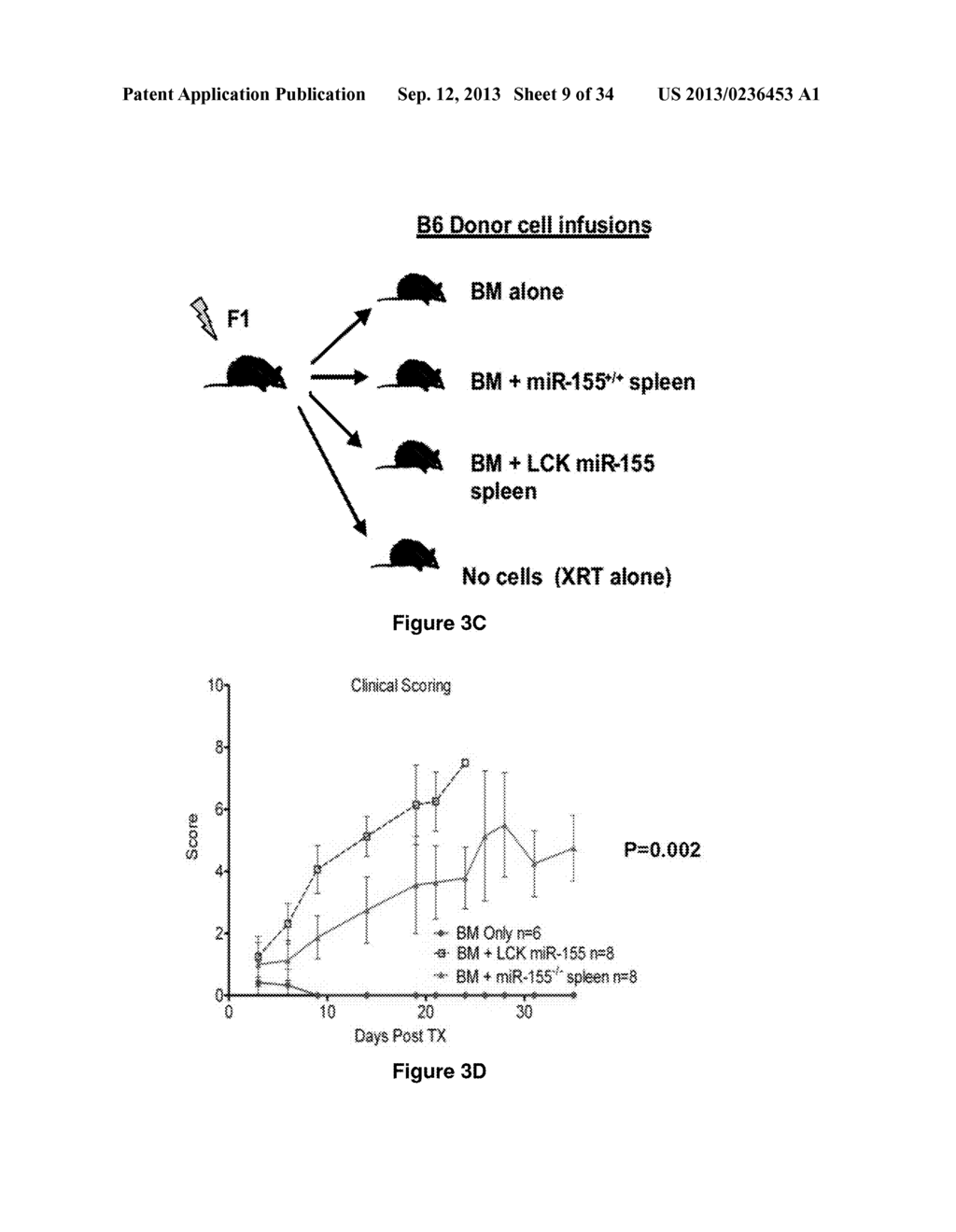 Methods and Compositions for Modulating Acute Graft-versus-Host Disease     using miR-155 Specific Inhibitors - diagram, schematic, and image 10