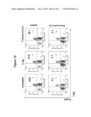 ANTI-CLTA4, ANTI-GLUT2 PROTEIN FOR THE TREATMENT OF TYPE 1 DIABETES diagram and image