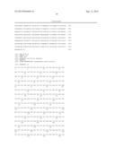 VACCINE AGAINST STREPTOCOCCAL INFECTIONS BASED ON RECOMBINANT PROTEINS diagram and image