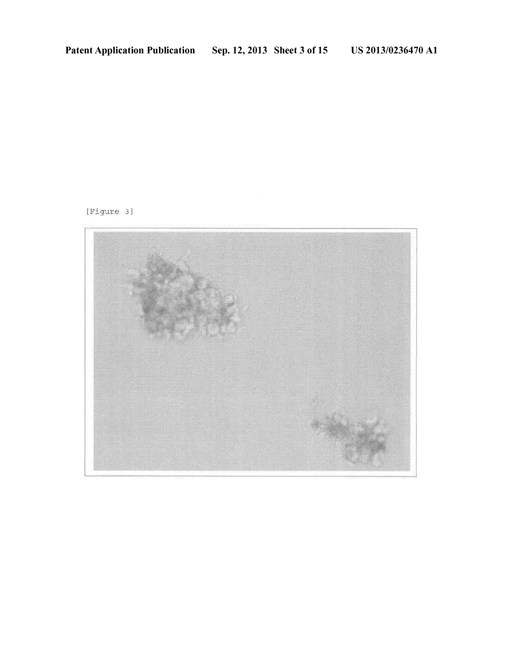 THERAPEUTIC AGENT FOR MALIGNANT TUMORS EXPRESSING MHC CLASS II - diagram, schematic, and image 04