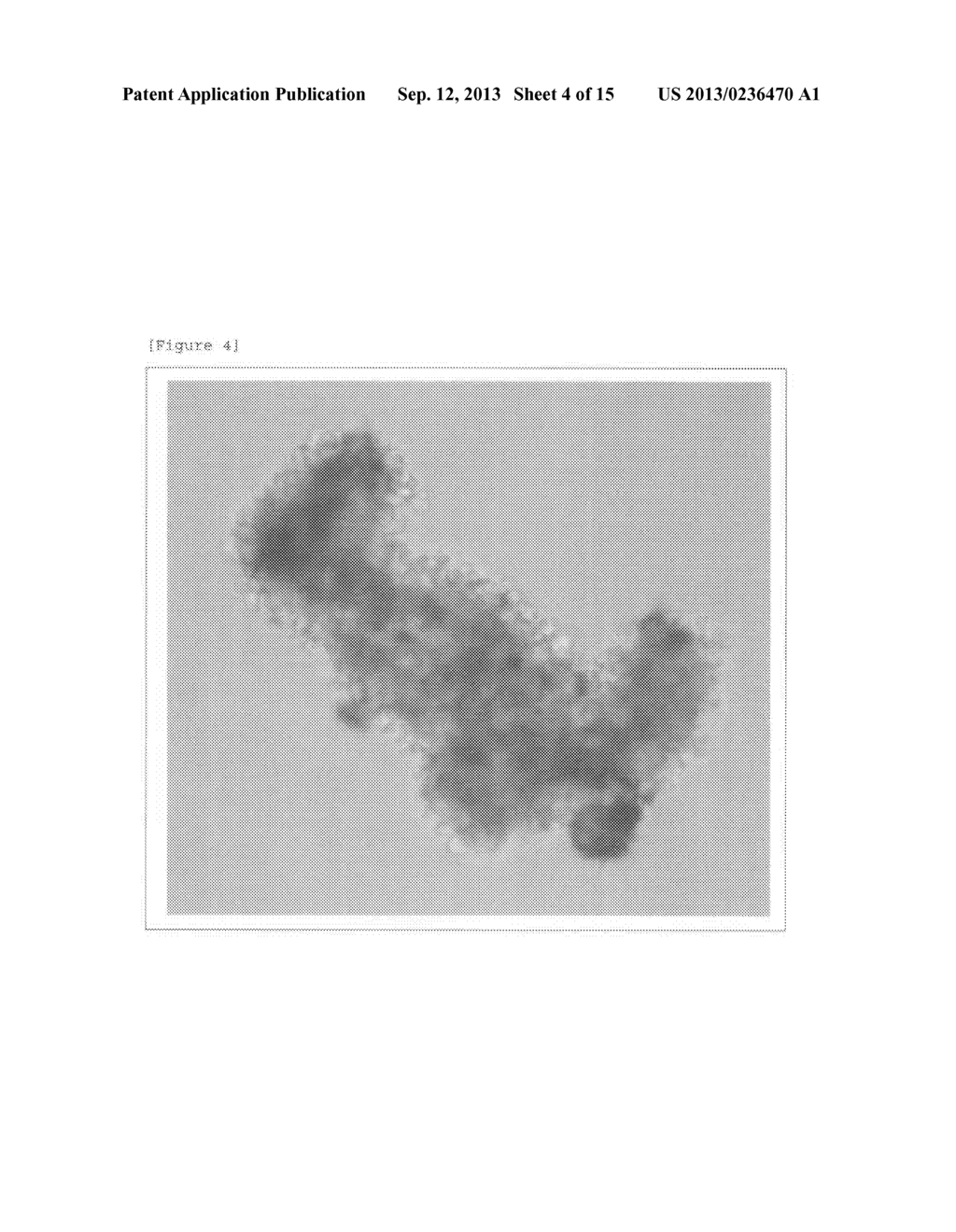 THERAPEUTIC AGENT FOR MALIGNANT TUMORS EXPRESSING MHC CLASS II - diagram, schematic, and image 05